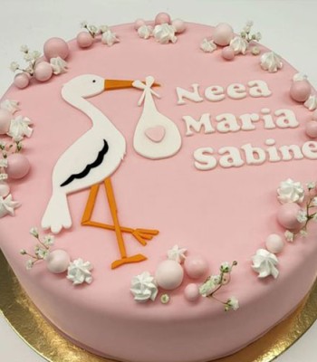 Kuvateksti - Erikoiskakku - Haikara1